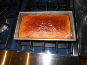 Fresh out of the oven