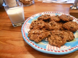 Oatmeal Raisin 002