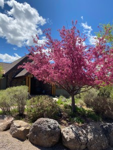 Beautiful Day in the Neighborhood